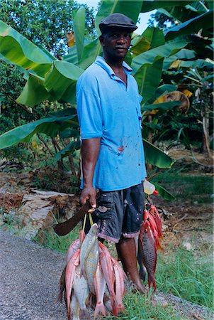 praslin - Portrait of a fisherman and his catch, near to Anse Possession, island of Praslin, Seychelles, Indian Ocean, Africa Stock Photo - Rights-Managed, Code: 841-03034053