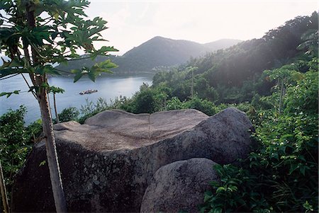 praslin - Chateau de Feuilles, Anse de Marie Louise, south coast, island of Praslin, Seychelles, Indian Ocean, Africa Stock Photo - Rights-Managed, Code: 841-03034065