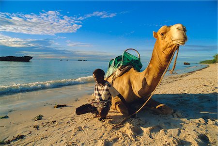 simsearch:841-02946644,k - Camel on the beach,Kenya Stock Photo - Rights-Managed, Code: 841-03034429