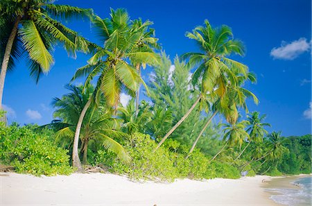 simsearch:851-02962651,k - Beach,Mahe,Seychelles Stock Photo - Rights-Managed, Code: 841-03035080