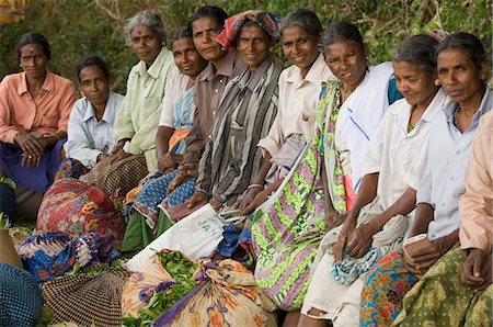 Tea Plantation Workers,Kerala,India Stock Photo - Rights-Managed, Code: 841-03035317