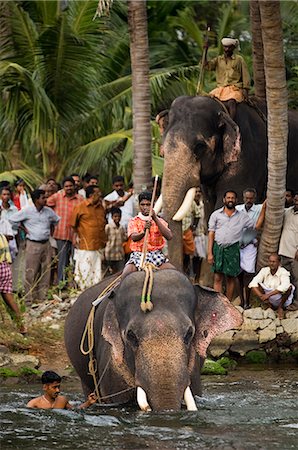 people of the rainforest - Elephant River Crossing,Kerala,India Stock Photo - Rights-Managed, Code: 841-03035344