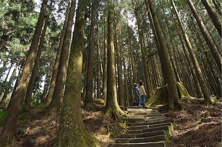 People looking up,cedar forest,Alishan National Forest recreation area,Chiayi County,Taiwan,Asia Stock Photo - Rights-Managed, Code: 841-03035808