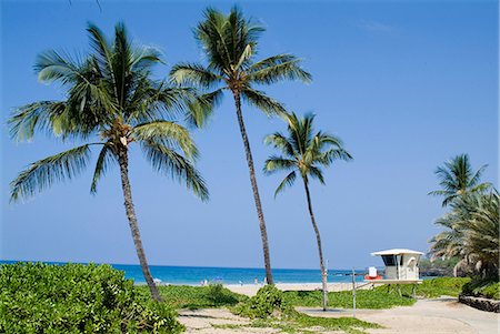 pic palm tree beach big island - Hapuna Beach, Island of Hawaii (Big Island), Hawaii, United States of America, Pacific, North America Stock Photo - Rights-Managed, Code: 841-03030636