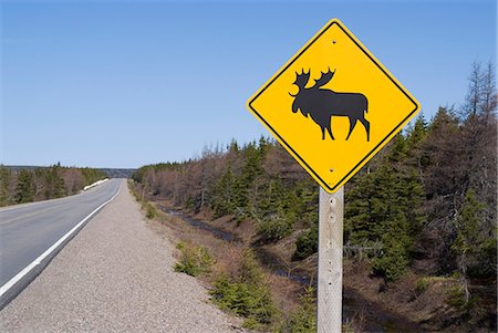Moose sign, Cape Breton Highlands National Park, Cape Breton, Nova Scotia, Canada, North America Stock Photo - Rights-Managed, Code: 841-03030829