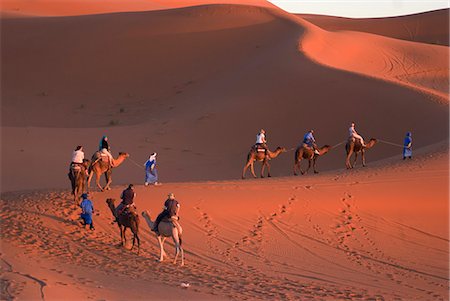 simsearch:841-02918817,k - Dromadaires prenant des touristes sur une promenade au coucher du soleil, Merzouga, Maroc, l'Afrique du Nord, Afrique Photographie de stock - Rights-Managed, Code: 841-03030964
