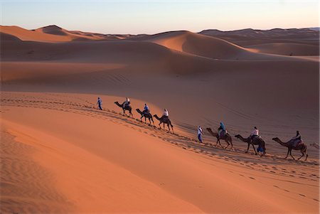 simsearch:841-02918817,k - Dromadaires prenant des touristes sur une promenade au coucher du soleil, Merzouga, Maroc, l'Afrique du Nord, Afrique Photographie de stock - Rights-Managed, Code: 841-03030963