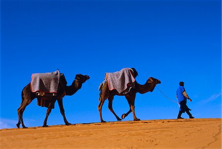 Camel train through desert, Morocco, North Africa Stock Photo - Rights-Managed, Code: 841-03032865