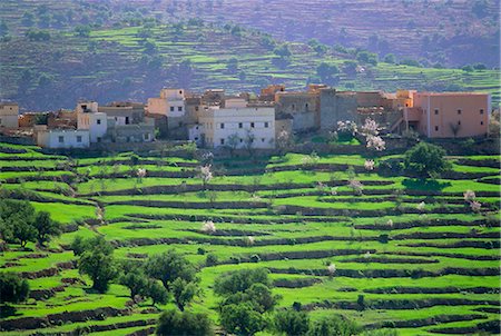 simsearch:841-03032762,k - Terraced landscape, Taroudant, Morocco, North Africa Stock Photo - Rights-Managed, Code: 841-03032863