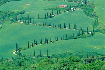 simsearch:841-02722947,k - Road winding up hillside, Orcia Valley, Tuscany, Italy, Europe Foto de stock - Con derechos protegidos, Código: 841-03033215