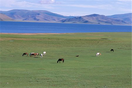 steppe - Lake Terkhiin Tsagaan Nuur, volcanic region of Khorgo, Arkhangai, Mongolia, Central Asia, Asia Stock Photo - Rights-Managed, Code: 841-03033268