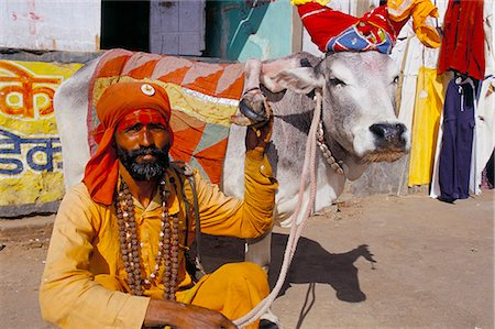 simsearch:841-02916002,k - Hindu holy man with five legged cow, Pushkar, Rajasthan state, India, Asia Stock Photo - Rights-Managed, Code: 841-03033697