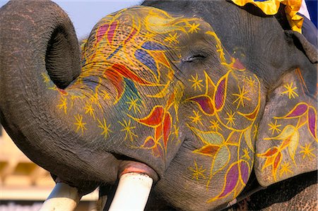 decorated asian elephants - Painted elephant, Pushkar, Rajasthan state, India, Asia Stock Photo - Rights-Managed, Code: 841-03033747