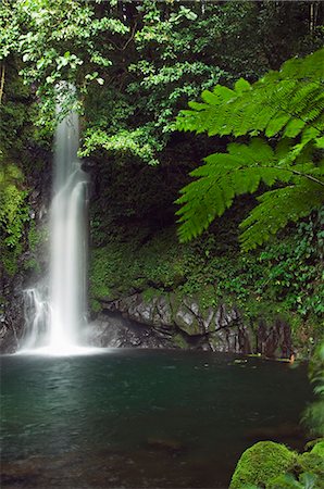 picture of luzon landscape - Malabsay cascade, Parc National du Mont Isarog, Bicol, sud-est de Luzon, aux Philippines, Asie du sud-est, Asie Photographie de stock - Rights-Managed, Code: 841-03055192