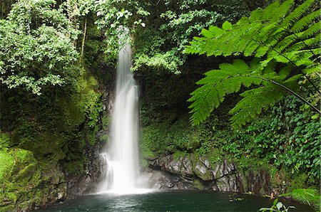 picture of luzon landscape - Malabsay Waterfall, Mount Isarog National Park, Bicol, southeast Luzon, Philippines, Southeast Asia, Asia Stock Photo - Rights-Managed, Code: 841-03055193