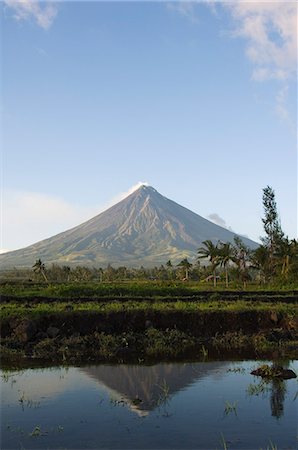 Mount Mayon, 2462 m, near-perfect volcano cone with plume of smoke reflected in rice field, Bicol Province, southeast Luzon, Philippines, Southeast Asia, Asia Stock Photo - Rights-Managed, Code: 841-03055203