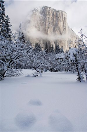 simsearch:841-03505868,k - Fresh snow fall on El Capitan in Yosemite Valley, Yosemite National Park, UNESCO World Heritage Site, California, United States of America, North America Stock Photo - Rights-Managed, Code: 841-03055276
