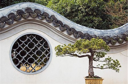 A bonzai tree and toled arch wall in Winding Garden at West Lake, Hangzhou, Zhejiang Province, China, Asia Stock Photo - Rights-Managed, Code: 841-03055902