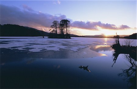 simsearch:400-06408905,k - Winter landscape, Loch Mallachie, Speyside, Scotland, United Kingdom, Europe Stock Photo - Rights-Managed, Code: 841-03057004