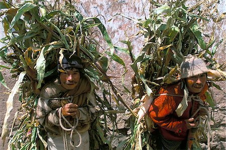 simsearch:841-02709392,k - Men carrying corn, Cuzco, Peru, South America Stock Photo - Rights-Managed, Code: 841-03057094
