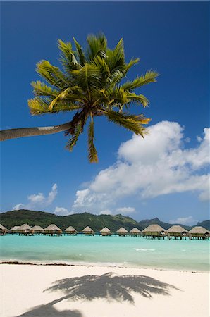 Pearl Beach Resort, Bora-Bora, Leeward group, Society Islands, French Polynesia, Pacific Islands, Pacific Stock Photo - Rights-Managed, Code: 841-03058183