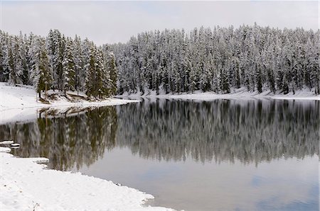 simsearch:841-03505868,k - Yellowstone River in winter, Yellowstone National Park, UNESCO World Heritage Site, Wyoming, United States of America, North America Stock Photo - Rights-Managed, Code: 841-03058717