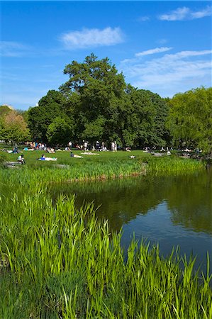 Turtle Pond area in Central Park, New York City, New York, United States of America, North America Stock Photo - Rights-Managed, Code: 841-03065613