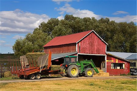 Farm near Ronan, Missoula Region, Montana, United States of America, North America Stock Photo - Rights-Managed, Code: 841-03065695