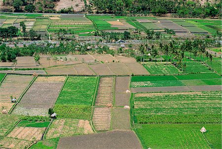 simsearch:841-02899056,k - Aerial of a valley with irrigated fields near Bug Bug on the east coast of Bali, Indonesia, Southeast Asia, Asia Stock Photo - Rights-Managed, Code: 841-03067291