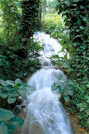Shaw waterfalls, Ocho Rios, Jamaica, West Indies, Central America Stock Photo - Rights-Managed, Code: 841-03060433