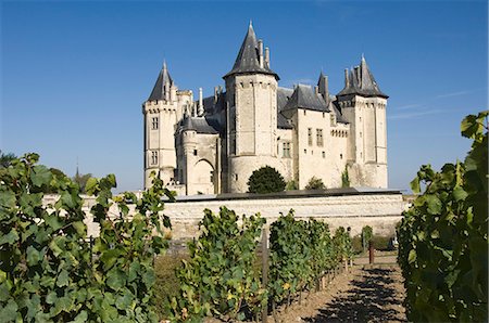 pays de la loire travel - Vineyards around the Chateau de Saumur, Maine-et-Loire, Pays de la Loire, France, Europe Stock Photo - Rights-Managed, Code: 841-03061517