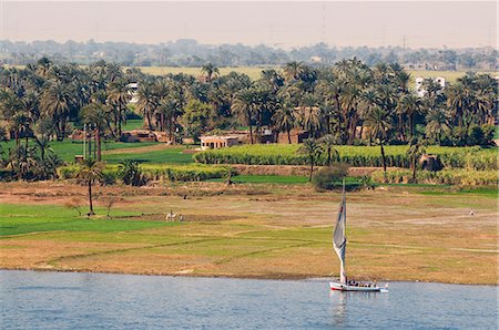 The Nile, Luxor, Thebes, Middle Egypt, Egypt, North Africa, Africa Stock Photo - Rights-Managed, Code: 841-03062463