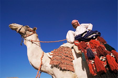 simsearch:841-02947168,k - Bedouin riding camel, Sinai, Egypt, North Africa, Africa Foto de stock - Con derechos protegidos, Código: 841-03063217