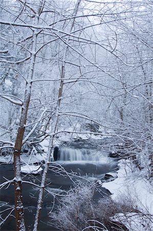 simsearch:841-03505868,k - A waterfall in winter surrounded by snow covered trees, Rensselaerville, New York State, United States of America, North America Stock Photo - Rights-Managed, Code: 841-03454230