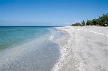florida not person not animal - Beach covered in shells, Captiva Island, Gulf Coast, Florida, United States of America, North America Stock Photo - Rights-Managed, Code: 841-03517159
