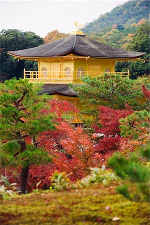 Autumn colour leaves, Golden Temple, Kinkaku ji (Kinkakuji), dating from 1397, Kyoto, Japan, Asia Stock Photo - Rights-Managed, Code: 841-03517518