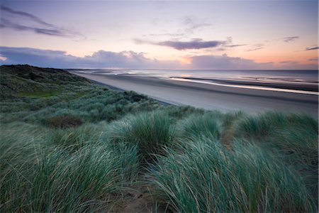 simsearch:841-03518373,k - Sand dunes at Murlough Nature Reserve, with views to Dundrum Bay, County Down, Ulster, Northern Ireland, United Kingdom, Europe Stock Photo - Rights-Managed, Code: 841-03518665