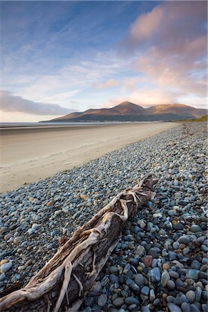 simsearch:841-03518373,k - Drfitwood on Dundrum Bay looking towards the Mountains of Mourne, County Down, Ulster, Northern Ireland, United Kingdom, Europe Stock Photo - Rights-Managed, Code: 841-03518668