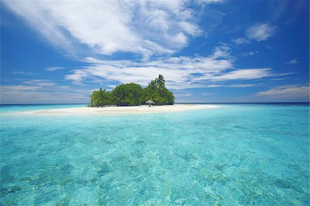 Tropical island surrounded by lagoon, Maldives, Indian Ocean, Asia Foto de stock - Con derechos protegidos, Código: 841-03675012