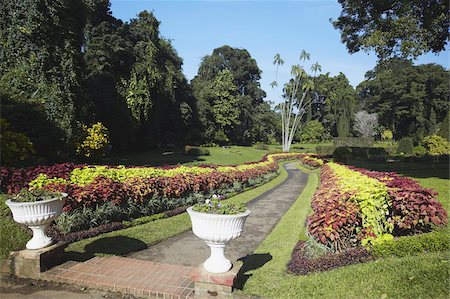 Flower garden in Peradeniya Botanic Gardens, Kandy, Sri Lanka, Asia Stock Photo - Rights-Managed, Code: 841-03675208