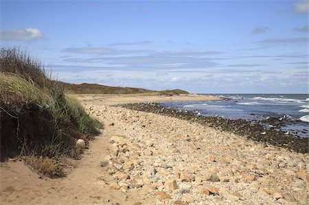 Montauk Point State Park, Montauk, Long Island, New York, United States of America, North America Stock Photo - Rights-Managed, Code: 841-03675602