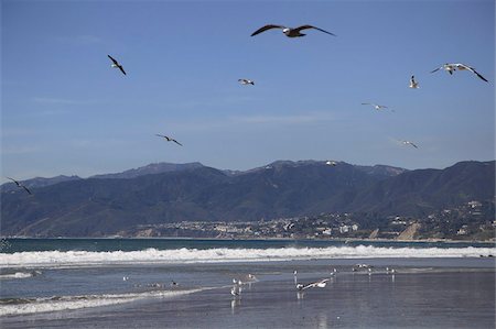 santa monica - Beach, Santa Monica, Malibu Mountains, Los Angeles, California, United States of America, North America Stock Photo - Rights-Managed, Code: 841-03675625