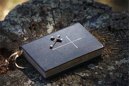 Bible on tree bark, Megeve, Haute Savoie, France, Europe Stock Photo - Rights-Managed, Code: 841-03675742