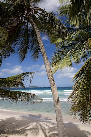 Beach, palm trees and surf in Long Bay, Tortola, British Virgin Islands, West Indies, Caribbean, Central America Stock Photo - Rights-Managed, Code: 841-03677030