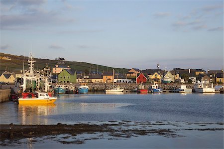 dingle - Dingle Peninsula, County Kerry, Munster, Republic of Ireland, Europe Stock Photo - Rights-Managed, Code: 841-03677622