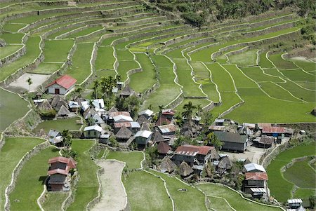 picture of luzon landscape - Aux murs de Pierre des rizières en terrasses d'Ifugao culture à Batad village, partie de Banaue, patrimoine mondial de l'UNESCO, de la Cordillère, Luzon, Philippines, Asie du sud-est, Asie Photographie de stock - Rights-Managed, Code: 841-03672290