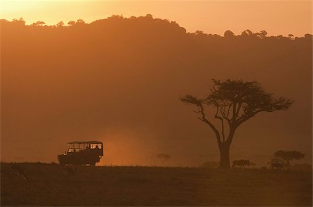 Masai Mara, Kenya, East Africa, Africa Stock Photo - Rights-Managed, Code: 841-03673529