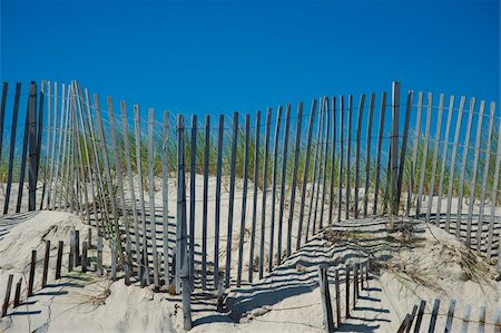 Sand dunes and beach grass, East Hampton Beach, Long Island, New York State, United States of America, North America Stock Photo - Rights-Managed, Code: 841-03867874