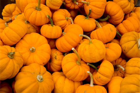 Mini pumpkins for sale at the Famers' Market in South Woodstock, Vermont, New England, United States of America, North America Stock Photo - Rights-Managed, Code: 841-03867902
