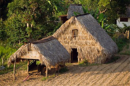 Thatched roof tobacco drying house, UNESCO World Heritage Site, Vinales Valley, Cuba, West Indies, Caribbean, Central America Stock Photo - Rights-Managed, Code: 841-03868263